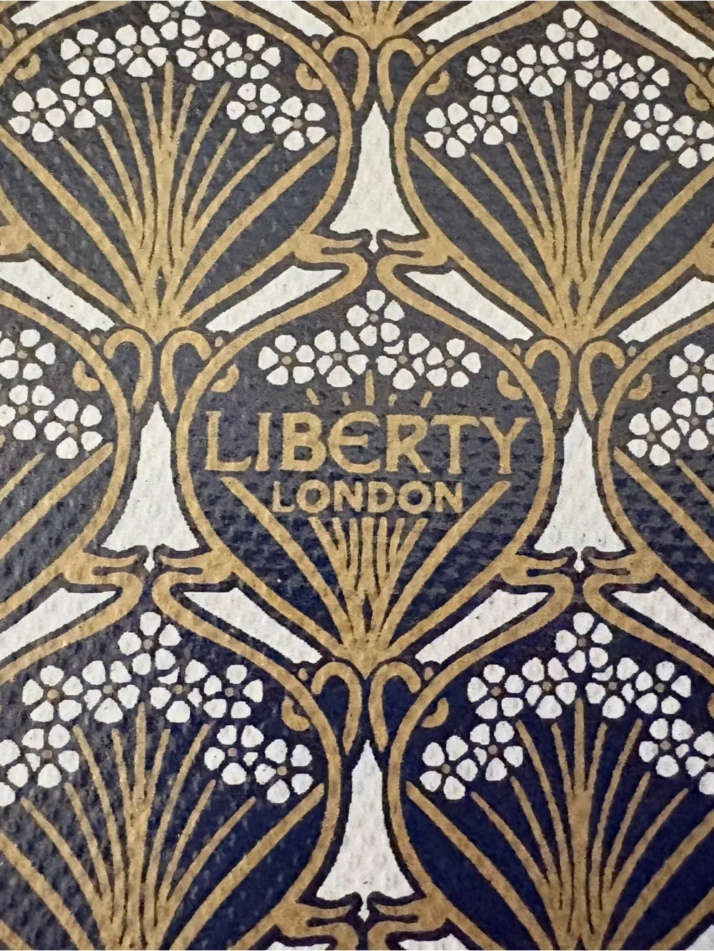 Authentic Liberty of London Iphis Print Pouch NWOT
